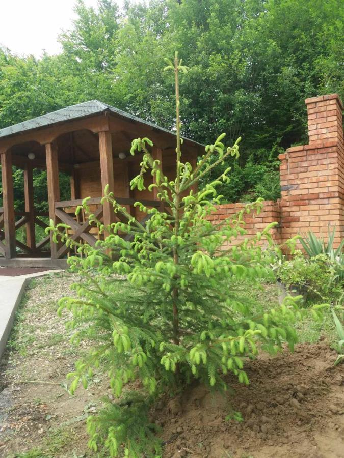 Villa Na Uzlissi Mihove Exteriér fotografie